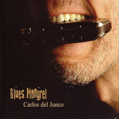 Blues Mongrel