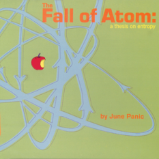 The Fall Of Atom: A Thesis On Entropy