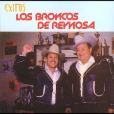 Los Broncos de Reynosa