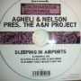 Agnelli & Nelson pres. A&N Project