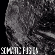 Somatic Fusion