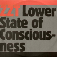Lower State of Consciousness