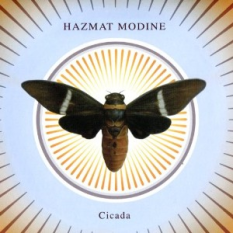 Cicada