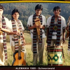 Arpay Andean Music