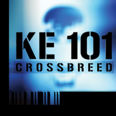 KE 101