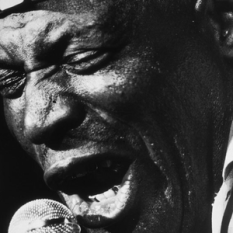 Howlin’ Wolf