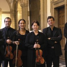 Arco Baleno Ensemble