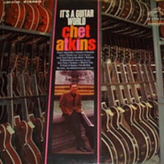 It's A Guitar World