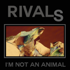 I'm Not An Animal