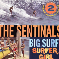 Big Surf!/Surfer Girl