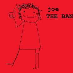 joe the band