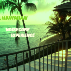 THE HAWAIIAN NOISECORE EXPERIENCE