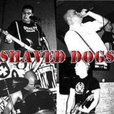 Shaved Dogs