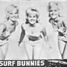 Surf Bunnies
