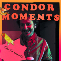 Condor Moments