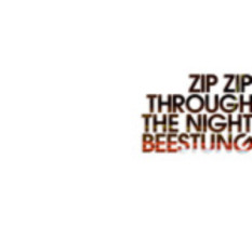 Zip Zip Through The Night