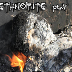 Ethnomite Pux