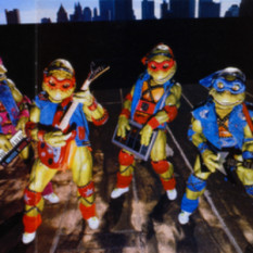 Teenage Mutant Ninja Turtles