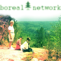 Boreal Network