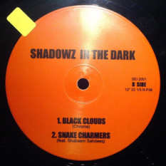 Shadowz In The Dark
