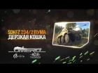 Обзор SdKfz 234/2 «ПУМА»: Дерзкая кошка! НОВИНКА ПАТЧА 1.69 | War Thunder