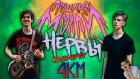 НЕРВЫ & ПОШЛАЯ МОЛЛИ - САМЫЙ ДОРОГОЙ ЧЕЛОВЕК/ЛОЛ (Pop-Punk MASH-UP by 4КМ)