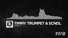 Навальный дудец - Tverskaya & Timmy Trumpet & Scndl | RaveDJ