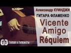 Vicente Amigo - Requiem / Played by Alex Kuinji