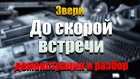 ЗВЕРИ — «До скорой встречи». Демонстрация соло студента и подробный разбор