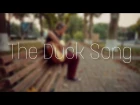nobody.one - The Duck Song (acoustic guitar cover)