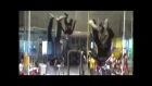 1st FAI World Indoor Skydiving Championship - Silver Medallists - Czech Team "MAD RAVENS"