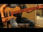 Ash Singulus 5 String Bass Demo