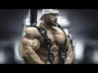 Bodybuilding Motivation - Great SUCCESS Requires Great EFFORT (2017)