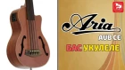 ARIA AUB-CE/FL Безладовое бас-укулеле - редкий музыкальный инструмент