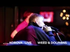 WEED & DOLPHINS live @ KOROVA grill+bar