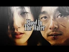 Kim Shin & Eun Tak | Blood in the water