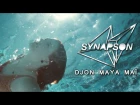 Synapson - Djon Maya Maï Feat. Victor Démé (Official Music Video)