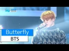 [HOT] BTS - Butterfly, 방탄소년단 - 버터플라이, Show Music core 20160102