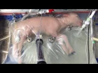 The Artificial Womb has been Tested Successfully