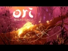 Ori and the Blind Forest by fear-sAs