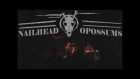 Nailhead Opossums - Texas Jesus (live)