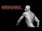 ZBrush Transpose Basics
