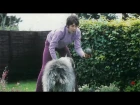 ♫ Paul McCartney photos playing with a dog Martha 1967