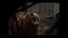 Grizzly Trailer 2014 HD Billy Bob Thornton James Marsden Piper Perabo