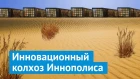 Иннополис: город будущего, благоустройство прошлого