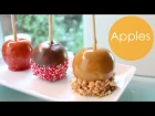 Candy / Chocolate / Caramel Apples!