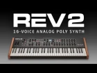 Prophet Rev2  16-voice Analog Poly Synth- Official Intro #BONews #BOMUZIK