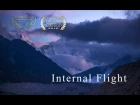 Internal Flight -  Estas Tonne Trailer 2016