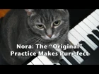 Nora: The "Original" Practice Makes Purr-fect