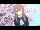 [AMV] A Silent Voice - King